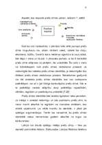 Referāts 'Preču zīmes un to ekonomiskā nozīme', 15.