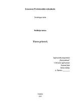 Referāts 'Tintes printeri', 1.