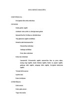 Biznesa plāns 'Bioloģiskā dabas sēta, fazānu parks', 1.