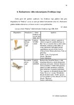 Biznesa plāns 'Produkta Niedriņi mārketinga kampaņas plāns Zviedrijā', 16.