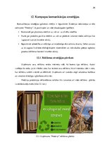 Biznesa plāns 'Produkta Niedriņi mārketinga kampaņas plāns Zviedrijā', 26.