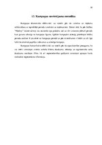 Biznesa plāns 'Produkta Niedriņi mārketinga kampaņas plāns Zviedrijā', 30.