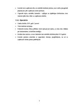 Biznesa plāns 'Biznesa plāns jaunam uzņēmumam', 5.