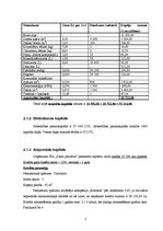 Biznesa plāns 'Biznesa plāns jaunam uzņēmumam', 7.