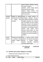 Biznesa plāns 'Biznesa plāns jaunam uzņēmumam', 10.