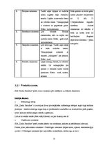 Biznesa plāns 'Biznesa plāns jaunam uzņēmumam', 15.