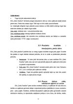 Biznesa plāns 'Biznesa plāns jaunam uzņēmumam', 16.