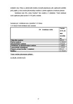 Biznesa plāns 'Biznesa plāns jaunam uzņēmumam', 17.