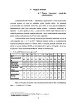 Biznesa plāns 'Biznesa plāns jaunam uzņēmumam', 18.