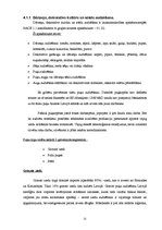 Biznesa plāns 'Biznesa plāns jaunam uzņēmumam', 21.