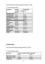 Biznesa plāns 'Biznesa plāns jaunam uzņēmumam', 34.