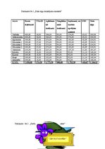 Biznesa plāns 'Biznesa plāns jaunam uzņēmumam', 45.