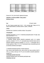 Biznesa plāns 'Biznesa plāns jaunam uzņēmumam', 49.