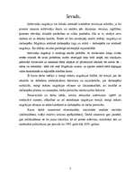 Referāts 'Darbaspēka migrācija', 3.