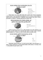 Referāts 'Socioloģiskais pētījums par ielu muzikantiem Rīgā', 5.