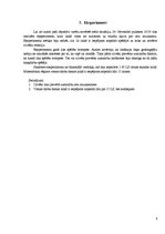 Referāts 'Socioloģiskais pētījums par ielu muzikantiem Rīgā', 9.