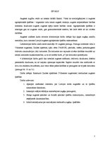 Prakses atskaite 'Laboratorijas darbu pārskats augsnes zinātnē', 3.