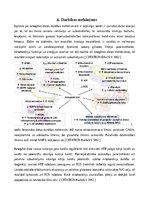 Referāts 'Ketogēnā dieta un epilepsija', 7.