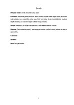 Konspekts 'Darba attiecības studiju laikā', 3.