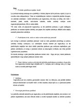 Prakses atskaite 'Prakses atskaite organizācijā "Vītolu fonds"', 15.