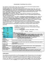 Konspekts 'Organismu darbības regulācija', 1.