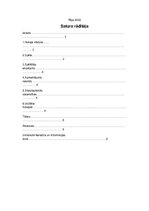 Konspekts 'Ieskats hokejā', 2.