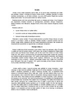 Konspekts 'Ieskats hokejā', 3.