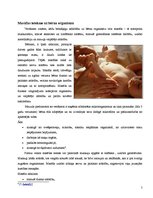 Konspekts 'Zīdaiņu masāža', 5.