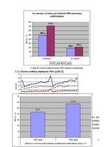 Referāts 'Netiešo nodokļu politika Latvijā 2006.gadā', 17.