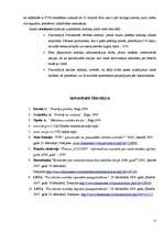 Referāts 'Netiešo nodokļu politika Latvijā 2006.gadā', 22.