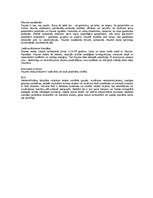 Konspekts 'Visums un galaktikas', 3.