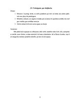 Referāts 'Gistava Flobēra romāna "Bovarī kundze" analīze', 11.