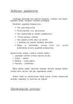 Konspekts 'Dzimuma un vecuma atšķirības lietišķajā etiķetē', 5.