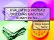 Prezentācija 'Kvalitātes vadības sistēmas galvenie komponenti', 1.