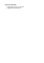 Eseja 'K.Jaspersa un E.Kasīrera atšķirīgie skatījumi attiecībā uz pasauli un cilvēka bū', 5.