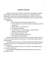 Biznesa plāns 'Biznesa plāns SIA "Spodrums"', 2.