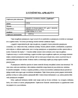 Biznesa plāns 'Biznesa plāns SIA "Spodrums"', 3.