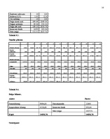 Biznesa plāns 'Biznesa plāns SIA "Spodrums"', 15.