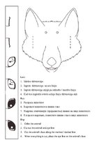 Paraugs 'Dzīvnieku acis', 2.