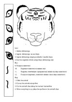 Paraugs 'Dzīvnieku acis', 3.