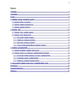 Referāts 'Latvijas nodokļu sistēmas ietekme uz uzņēmējdarbību', 5.