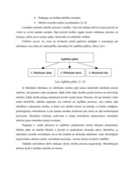 Referāts 'Metodiskās komisijas vadīšana Rīgas X vidusskolā', 6.