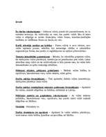 Referāts 'Salīdzinošās konstitucionālās tiesības', 3.