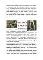 Referāts 'Mēness un tā ietekme uz sociālajiem procesiem', 11.