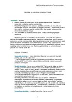 Konspekts 'Identitātes problēmas mūsdienu Eiropā', 1.