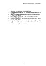 Konspekts 'Identitātes problēmas mūsdienu Eiropā', 4.