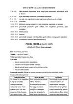 Prakses atskaite 'Vērošanas un aktīvā mācību prakse PII', 3.