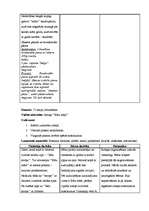 Prakses atskaite 'Vērošanas un aktīvā mācību prakse PII', 7.