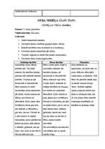 Prakses atskaite 'Vērošanas un aktīvā mācību prakse PII', 11.