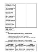 Prakses atskaite 'Vērošanas un aktīvā mācību prakse PII', 12.